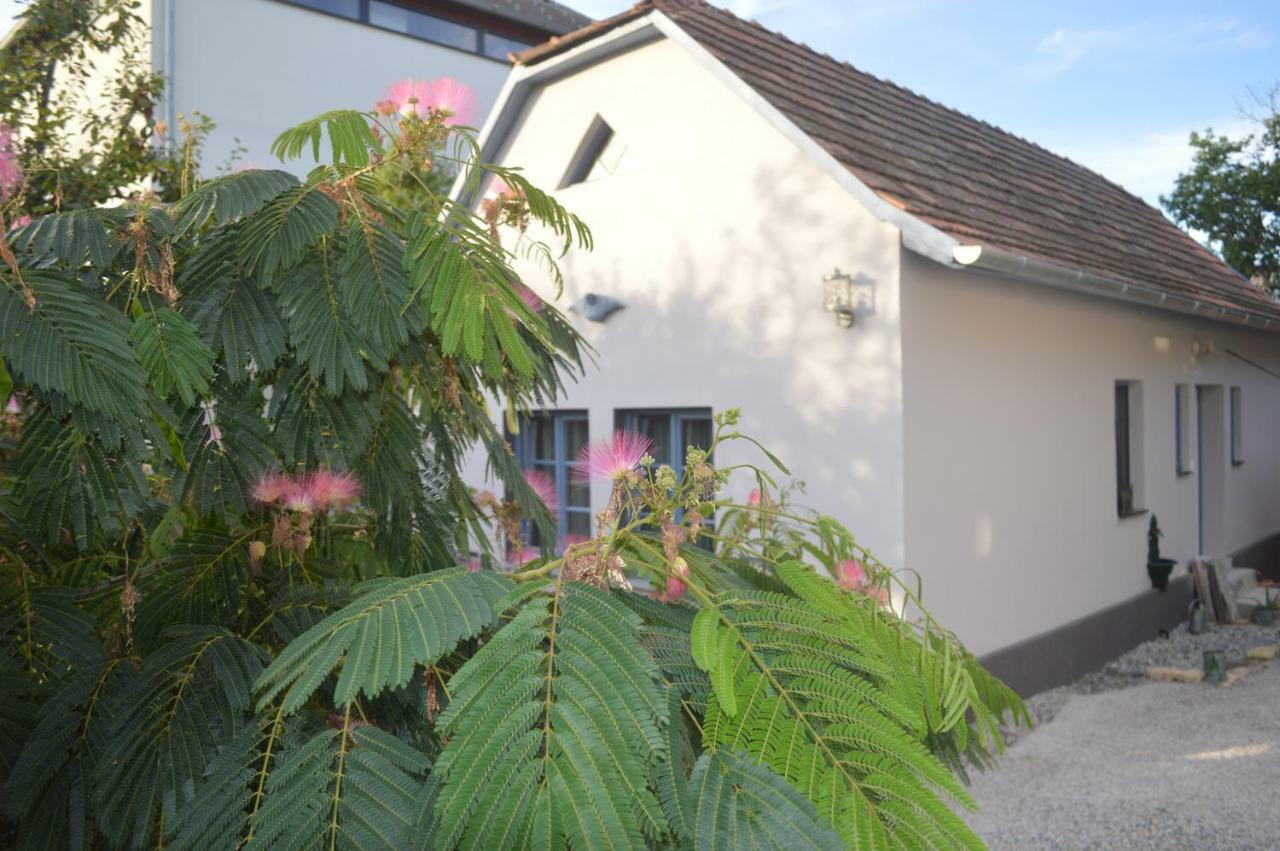 Das Nest Eisenstadt Extérieur photo