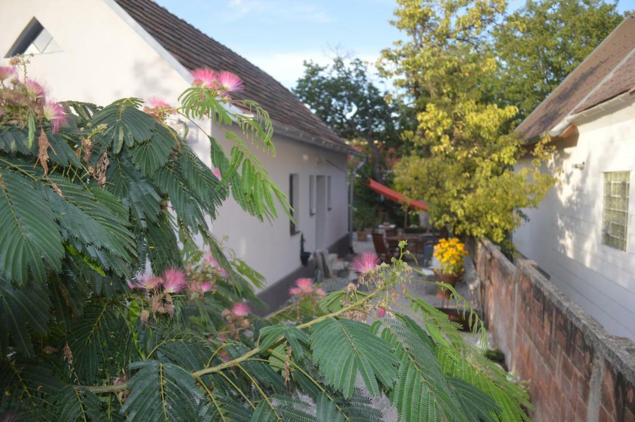 Das Nest Eisenstadt Extérieur photo